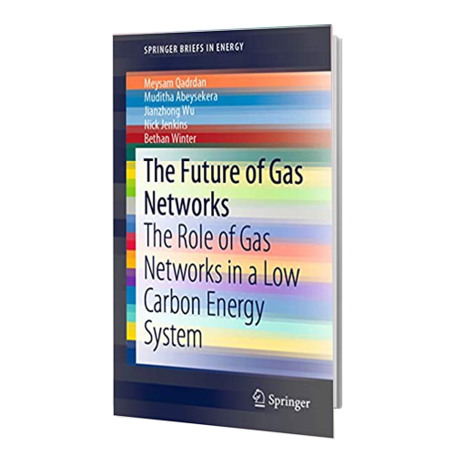 کتاب The Future of Gas Networks: The Role of Gas Networks in a Low Carbon Energy System