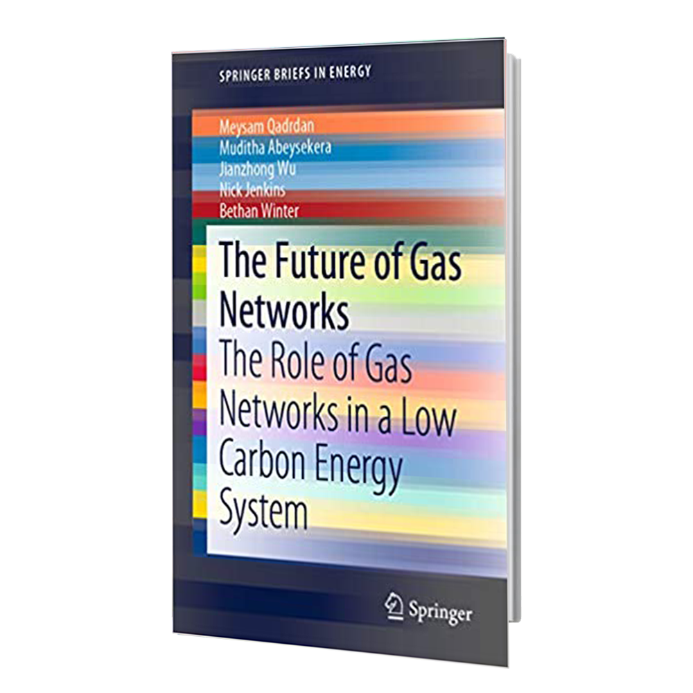 کتاب The Future of Gas Networks: The Role of Gas Networks in a Low Carbon Energy System